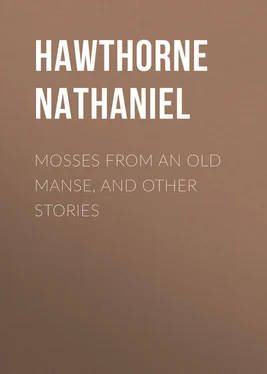 Nathaniel Hawthorne Mosses from an Old Manse, and Other Stories обложка книги