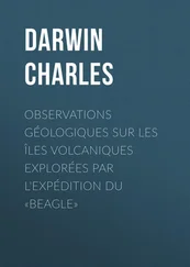 Charles Darwin - Observations Géologiques sur les Îles Volcaniques Explorées par l'Expédition du «Beagle»