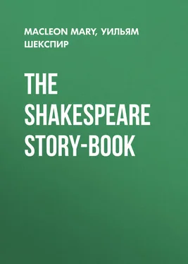 Mary Macleon The Shakespeare Story-Book обложка книги