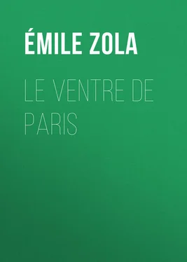 Émile Zola Le Ventre de Paris обложка книги