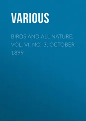 Various - Birds and All Nature, Vol. VI, No. 3, October 1899