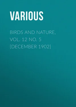 Various Birds and Nature, Vol. 12 No. 5 [December 1902] обложка книги