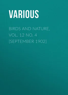 Various Birds and Nature, Vol. 12 No. 4 [September 1902] обложка книги