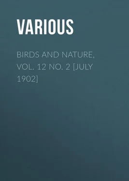 Various Birds and Nature, Vol. 12 No. 2 [July 1902] обложка книги