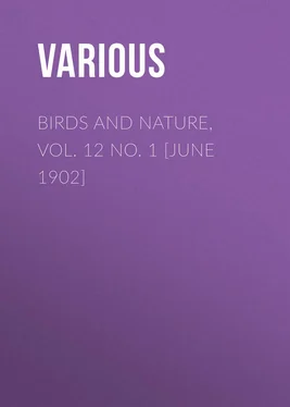 Various Birds and Nature, Vol. 12 No. 1 [June 1902] обложка книги