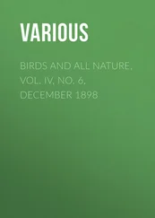 Various - Birds and all Nature, Vol. IV, No. 6, December 1898