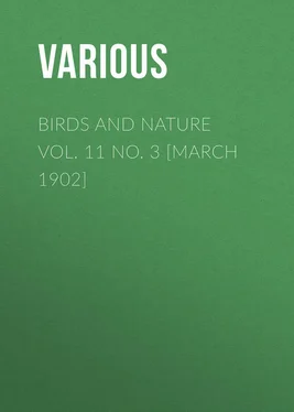 Various Birds and Nature Vol. 11 No. 3 [March 1902] обложка книги