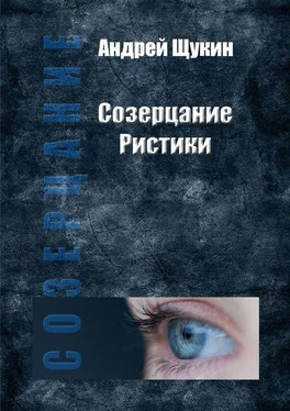 Андрей Щукин Созерцание Ристики обложка книги