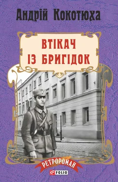 Андрій Кокотюха Втікач із Бригідок обложка книги