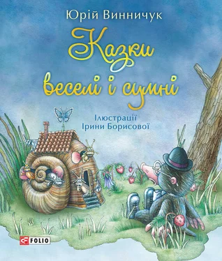 Юрій Винничук Казки веселі і сумні обложка книги