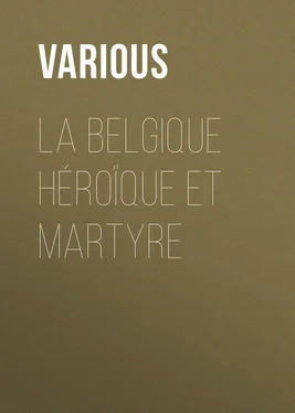 Various La Belgique héroïque et martyre обложка книги