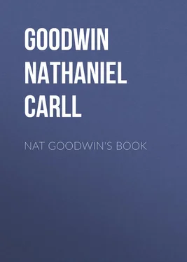 Nathaniel Goodwin Nat Goodwin's Book обложка книги