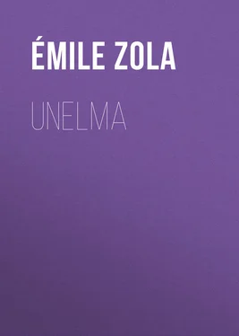 Émile Zola Unelma обложка книги