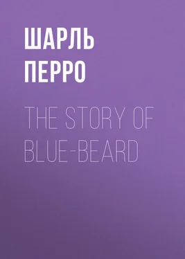 Шарль Перро The Story of Blue-Beard обложка книги