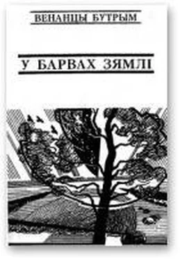 Венанцы Бутрым У барвах зямлі обложка книги