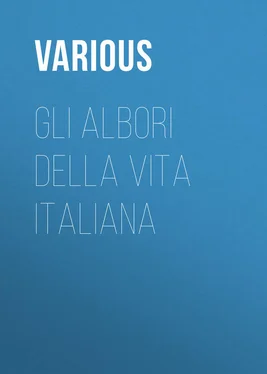 Various Gli albori della vita Italiana обложка книги