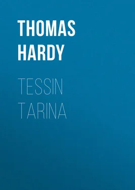 Thomas Hardy Tessin tarina обложка книги
