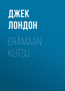 Джек Лондон Erämaan kutsu обложка книги