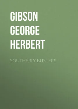 George Gibson Southerly Busters обложка книги