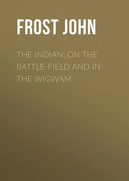 John Frost The Indian: On the Battle-Field and in the Wigwam обложка книги