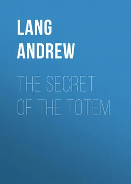 Andrew Lang The Secret of the Totem обложка книги