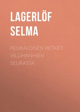 Selma Lagerlöf Peukaloisen retket villihanhien seurassa обложка книги