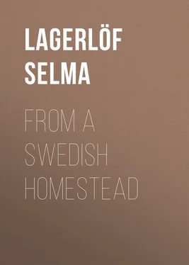 Selma Lagerlöf From a Swedish Homestead обложка книги