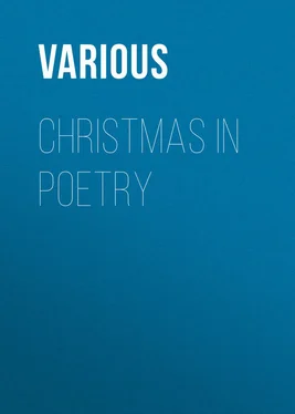 Various Christmas in Poetry обложка книги