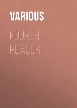 Various Fourth Reader обложка книги