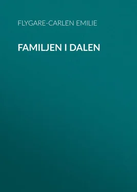 Emilie Flygare-Carlén Familjen i dalen обложка книги