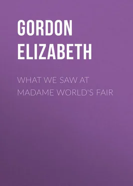 Elizabeth Gordon What We Saw At Madame World's Fair обложка книги