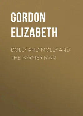 Elizabeth Gordon Dolly and Molly and the Farmer Man обложка книги