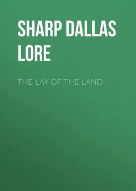 Dallas Sharp The Lay of the Land обложка книги