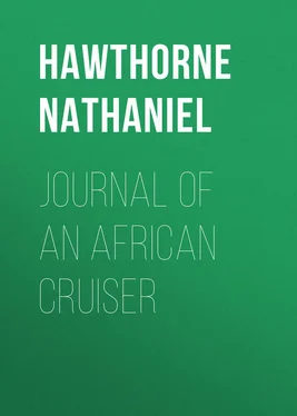 Nathaniel Hawthorne Journal of an African Cruiser обложка книги