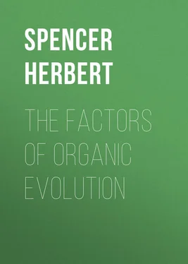 Herbert Spencer The Factors of Organic Evolution обложка книги