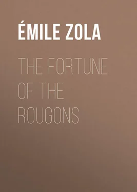 Émile Zola The Fortune of the Rougons обложка книги