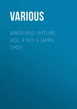 Various Birds and Nature Vol. 9 No. 4 [April 1901] обложка книги