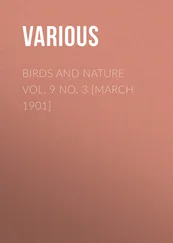 Various - Birds and Nature Vol. 9 No. 3 [March 1901]