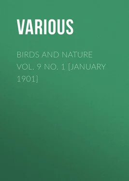 Various Birds and Nature Vol. 9 No. 1 [January 1901] обложка книги