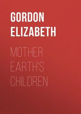 Elizabeth Gordon Mother Earth's Children обложка книги