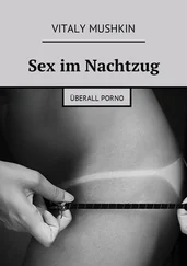 Vitaly Mushkin - Sex im Nachtzug. Überall Porno