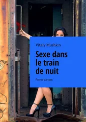 Vitaly Mushkin - Sexe dans le train de nuit. Porno partout