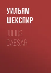 Уильям Шекспир - Julius Caesar