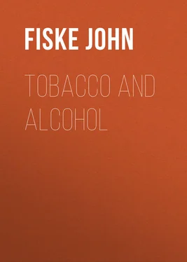 John Fiske Tobacco and Alcohol обложка книги