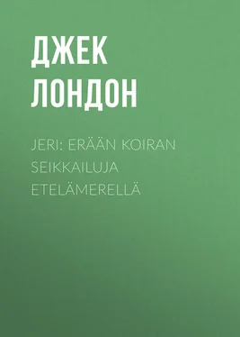 Джек Лондон Jeri: Erään koiran seikkailuja Etelämerellä обложка книги