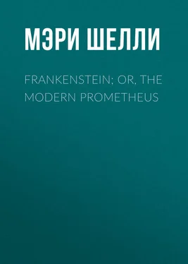 Мэри Шелли Frankenstein; Or, The Modern Prometheus обложка книги