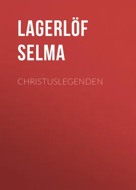 Selma Lagerlöf Christuslegenden обложка книги