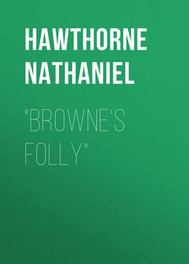 Nathaniel Hawthorne Browne's Folly обложка книги