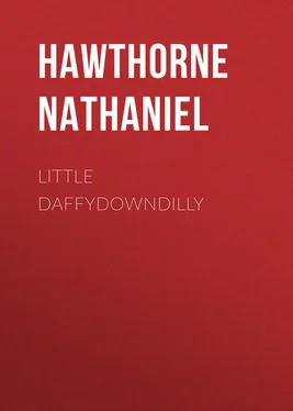 Nathaniel Hawthorne Little Daffydowndilly обложка книги