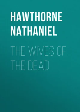 Nathaniel Hawthorne The Wives of the Dead обложка книги